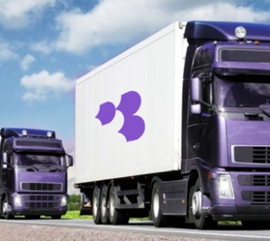 Экспресс-почта, абонентские ящики, оперативная полиграфия